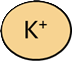 Potassium ion