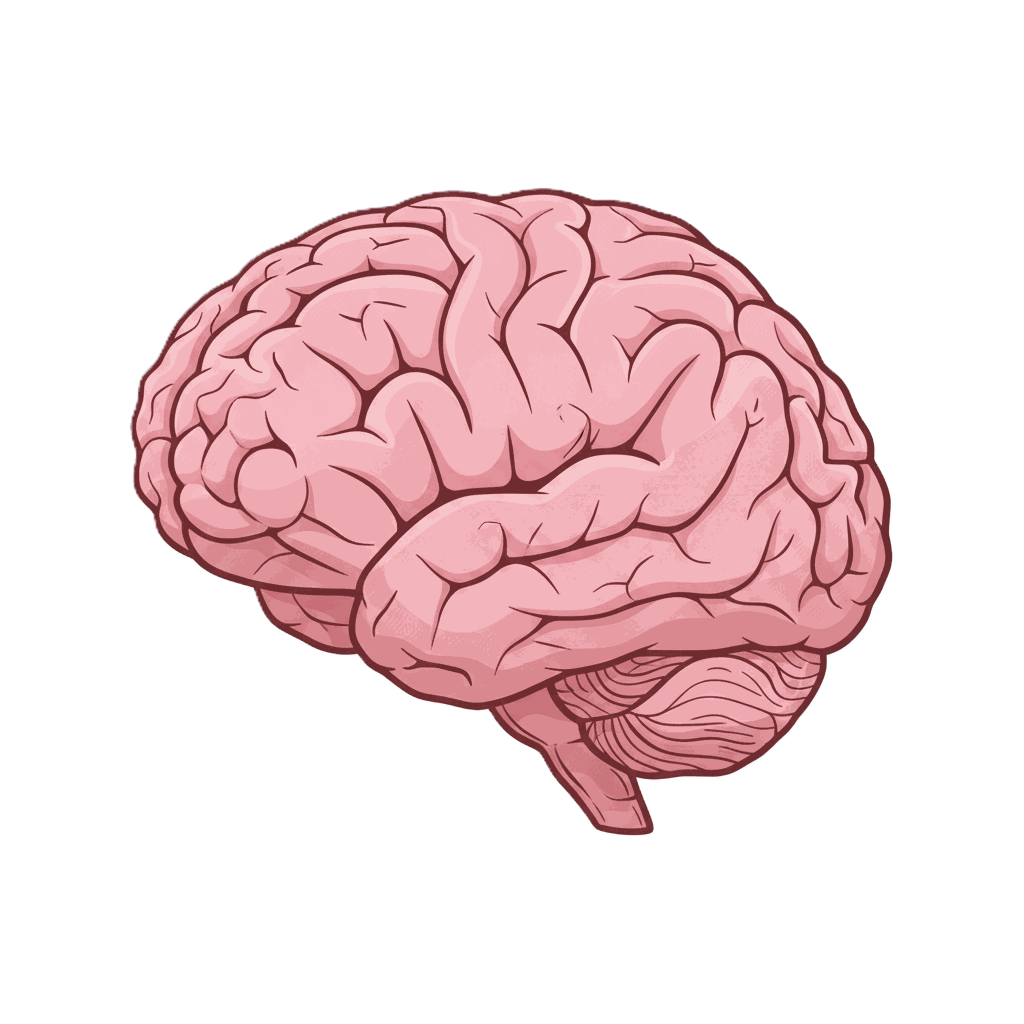 Brain (CNS)